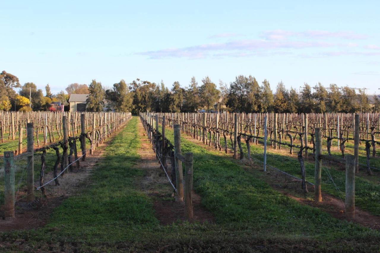 Milawa Vineyard Views - Guesthouse 1 Экстерьер фото